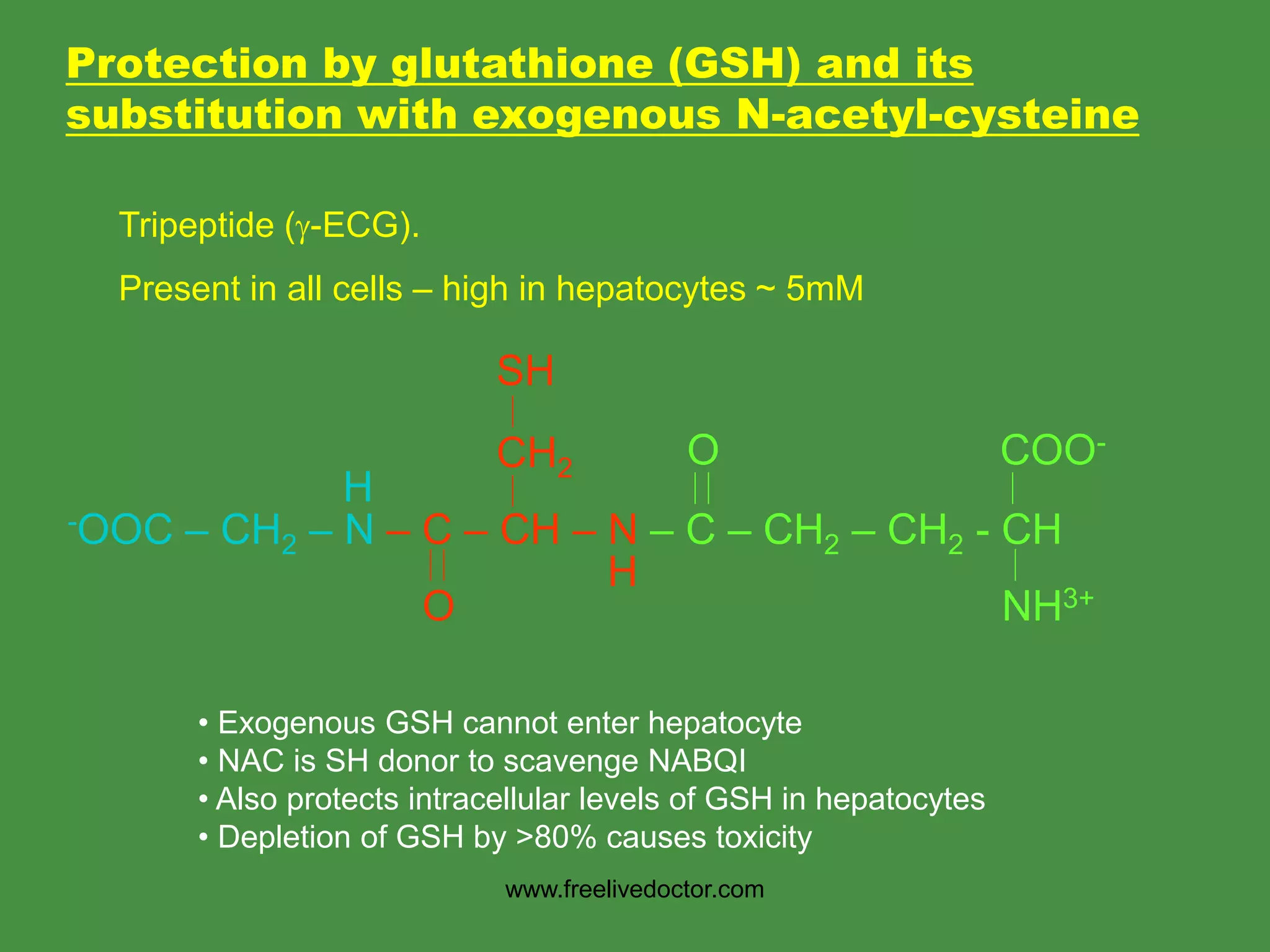 Protection by glutathione (GSH) and its
substitution with exogenous N-acetyl-cysteine
-OOC – CH2 – N – C – CH – N – C – CH2 – CH2 - CH
O
CH2
SH
H
H
O COO-
NH3+
Tripeptide (-ECG).
Present in all cells – high in hepatocytes ~ 5mM
• Exogenous GSH cannot enter hepatocyte
• NAC is SH donor to scavenge NABQI
• Also protects intracellular levels of GSH in hepatocytes
• Depletion of GSH by >80% causes toxicity
www.freelivedoctor.com
 