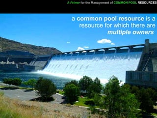 a  common pool resource  is a resource for which there are  multiple owners   A Primer   for the Management of   COMMON POOL   RESOURCES 