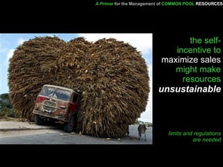 the self- incentive to  maximize sales  might make resources  unsustainable limits and regulations are needed A Primer   for the Management of   COMMON POOL   RESOURCES 