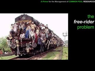 the   free-rider   problem A Primer   for the Management of   COMMON POOL   RESOURCES 