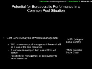 Potential for Bureaucratic Performance in a Common Pool Situation Cost Benefit Analysis of Wildlife management With no common pool management the result will be a loss of the core resources If resource is managed then less net loss will accrue Possibility for management by bureaucracy to retain resources  MSB: (Marginal Social Benefit) MSC (Marginal Social Cost) A Primer   for the Management of   COMMON POOL   RESOURCES 
