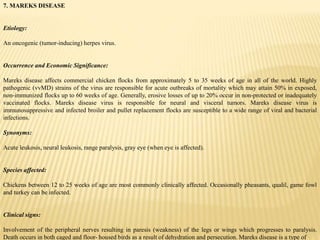7. MAREKS DISEASE
Etiology:
An oncogenic (tumor-inducing) herpes virus.
Occurrence and Economic Significance:
Mareks disease affects commercial chicken flocks from approximately 5 to 35 weeks of age in all of the world. Highly
pathogenic (vvMD) strains of the virus are responsible for acute outbreaks of mortality which may attain 50% in exposed,
non-immunized flocks up to 60 weeks of age. Generally, erosive losses of up to 20% occur in non-protected or inadequately
vaccinated flocks. Mareks disease virus is responsible for neural and visceral tumors. Mareks disease virus is
immunosuppressive and infected broiler and pullet replacement flocks are susceptible to a wide range of viral and bacterial
infections.
Synonyms:
Acute leukosis, neural leukosis, range paralysis, gray eye (when eye is affected).
Species affected:
Chickens between 12 to 25 weeks of age are most commonly clinically affected. Occasionally pheasants, qualil, game fowl
and turkey can be infected.
Clinical signs:
Involvement of the peripheral nerves resulting in paresis (weakness) of the legs or wings which progresses to paralysis.
Death occurs in both caged and floor- housed birds as a result of dehydration and persecution. Mareks disease is a type of
 