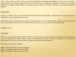 Avian cancer. Tumors can occur in the eyes and cause irregularly shaped pupils and blindness. Tumors of the liver, kidney,
spleen, gonads, proventiculus, lungs, muscles, and skin can cause incoordination, unthriftiness, paleness, weak labored
breathing and enlarged feather follicles. In terminal stages, the birds are emaciated with pale, scaly combs and greenish
diarrhea.
Transmission:
Exposure to MDV occurs by horizontal infection. Infected birds shed “dander” contaminated with virus which can be
distributed by wind, equipment and personnel.
The Marek's virus is transmitted by air within the poultry house. It is in the feather dander, chicken house dust, feces and
saliva. Infected birds carry the virus in their blood for life and are a source of infection for susceptible birds.
Treatment: None
Prevention:
Chicks can be vaccinated at the hatchery. While the vaccination prevents tumor formation, it does not prevent infection by
the virus. Vaccination of broiler embryos using in ovo administration on the 18th day of incubation or by subcutaneous
administration of vaccine to broiler, breeder or replacement egg-strain chicks at day old.
Three types of vaccine are available:
Type 1 : attenuated chicken strain (e.g. Rispen’s)
Type 2 : apathogenic chicken strain (e.g. SBI)
Type 3 : apathogenic turkey, strain (e.g. HVT)
 
