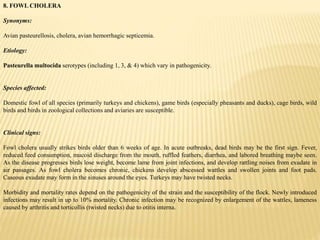 8. FOWL CHOLERA
Synonyms:
Avian pasteurellosis, cholera, avian hemorrhagic septicemia.
Etiology:
Pasteurella multocida serotypes (including 1, 3, & 4) which vary in pathogenicity.
Species affected:
Domestic fowl of all species (primarily turkeys and chickens), game birds (especially pheasants and ducks), cage birds, wild
birds and birds in zoological collections and aviaries are susceptible.
Clinical signs:
Fowl cholera usually strikes birds older than 6 weeks of age. In acute outbreaks, dead birds may be the first sign. Fever,
reduced feed consumption, mucoid discharge from the mouth, ruffled feathers, diarrhea, and labored breathing maybe seen.
As the disease progresses birds lose weight, become lame from joint infections, and develop rattling noises from exudate in
air passages. As fowl cholera becomes chronic, chickens develop abscessed wattles and swollen joints and foot pads.
Caseous exudate may form in the sinuses around the eyes. Turkeys may have twisted necks.
Morbidity and mortality rates depend on the pathogenicity of the strain and the susceptibility of the flock. Newly introduced
infections may result in up to 10% mortality. Chronic infection may be recognized by enlargement of the wattles, lameness
caused by arthritis and torticollis (twisted necks) due to otitis interna.
 