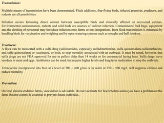 Transmission:
Multiple means of transmission have been demonstrated. Flock additions, free-flying birds, infected premises, predators, and
rodents are all possibilities.
Infection occurs following direct contact between susceptible birds and clinically affected or recovered carriers.
Environmental contamination, rodents and wild birds are sources of indirect infection. Contaminated feed bags, equipment
and the clothing of personnel may introduce infection onto farms or into integrations. Intra flock transmission is enhanced by
handling birds for vaccination and weighing and by open watering systems such as troughs and bell drinkers.
Treatment:
A flock can be medicated with a sulfa drug (sulfonamides, especially sulfadimethoxine, sulfa quinonxalene,sulfamethazine,
and sulfa quinoxalene) or vaccinated, or both, to stop mortality associated with an outbreak. It must be noted, however, that
sulfa drugs are not FDA approved for use in pullets older than 14 weeks or for commercial laying hens. Sulfa drugs leave
residues in meat and eggs. Antibiotics can be used, but require higher levels and long term medication to stop the outbreak.
Tetracycline incorporated into feed at a level of 200 – 400 g/ton or in water at 250 – 500 mg/L will suppress clinical and
reduce mortality.
Prevention:
On fowl cholera endemic farms, vaccination is advisable. Do not vaccinate for fowl cholera unless you have a problem on the
farm. Rodent control is essential to prevent future outbreaks.
 