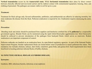 Vertical transmission occurs by the transovarial route. While horizontal transmission takes place by direct contact
between clinically affected and recovered carriers and by indirect contact with contaminated equipment, housing, litter, and
clothing of personnel. The pathogen can remain viable in soil for up to a year.
Treatment:
Treatment for flock salvage only. Several sulfonamides, antibiotics, and antibacterials are effective in reducing mortality, but
none eradicates the disease from the flock. Pullorum eradication is required by law. Eradication requires destroying the entire
flock.
Prevention:
Breeding stock and chicks should be purchased from suppliers and hatcheries certified free of S. pullorum by a responsible
government agency. Breeder flocks can be monitored using the rapid whole-blood plate agglutination test. Strict biosecurity
should be enforced to prevent introduction of the pathogen from backyard flocks which serves as reservoirs. Rodent
eradication is an important component of control.
Pullorum outbreaks are handled on an eradication basis, by state/federal regulatory agencies. As part of the National Poultry
Improvement Program, breeder replacement flocks are tested before onset of production to assure pullorum-free status. This
mandatory law includes chickens, turkeys, show birds, waterfowl, game birds, and guinea fowl. Such requirements have been
beneficial in locating pullorum infected flocks of hobby chickens.
10. INFECTIOUS BURSAL DISEASE (GUMBORO DISEASE)
Synonyms:
Gumboro, IBD, infectious bursitis, infectious avian nephrosis
 