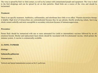 The virus is spread by bird- to- bird contact, as well as by contact with contaminated people and equipment. The virus is shed
in the bird droppings and can be spread by air on dust particles. Dead birds are a source of the virus and should be
incinerated.
Treatment:
There is no specific treatment. Antibiotics, sulfonamides, and nitrofurans have little or no effect. Vitamin-electrolyte therapy
is helpful. High level of tetracyclines are contraindicated because they tie up calcium, thereby producing rickets. Surviving
chicks remain unthrifty and more susceptible to secondary infections because of immunosuppression.
Prevention:
Parent flock should be immunized with one or more attenuated live (mild or intermediate) vaccines followed by an oil-
emulsion booster. Broiler and replacement layer chicks should be vaccinated with live-attenuated vaccine, which primes the
immune system. A vaccine is commercially available.
11. FOWL TYPHOID
Etiology:
Salmonella galinarum
Transmission:
Vertical and lateral transmission occurs as for S. pullorum.
 