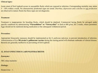Clinical signs:
Acute onset of fowl typhoid occurs in susceptible flocks which are exposed to infection. Corresponding mortality may attain
5 – 10% within a week. No characteristic prodromal signs are noted. Diarrhea, depression and a decline in egg production
are observed in mature flocks but these signs are not diagnostic.
Treatment:
Treatment is inappropriate for breeding flocks, which should be depleted. Commercial laying flocks be salvaged under
specific conditions by administering “Furazolidone” or “Tetracycline” in feed at 400 g/ton, for 2 weeks, where permitted.
Eggs should not be marketed during medication or the subsequent withdrawal period.
Prevention:
Appropriate biosecurity measures should be implemented as for S. pullorum infection, to prevent introduction of infection.
Administration of live 9R strain S. gallinarum vaccine during the rearing period will eliminate outbreaks of clinical disease.
Bacteria are generally ineffective in preventing of fowl typhoid.
12. AVIAN INFECTIOUS LARYNGOTRACHEITIS
Synonyms:
TRT, rhino tracheitis
Etiology:
Herpesvirus – 1.
 
