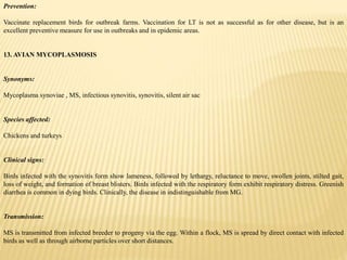 Prevention:
Vaccinate replacement birds for outbreak farms. Vaccination for LT is not as successful as for other disease, but is an
excellent preventive measure for use in outbreaks and in epidemic areas.
13. AVIAN MYCOPLASMOSIS
Synonyms:
Mycoplasma synoviae , MS, infectious synovitis, synovitis, silent air sac
Species affected:
Chickens and turkeys
Clinical signs:
Birds infected with the synovitis form show lameness, followed by lethargy, reluctance to move, swollen joints, stilted gait,
loss of weight, and formation of breast blisters. Birds infected with the respiratory form exhibit respiratory distress. Greenish
diarrhea is common in dying birds. Clinically, the disease in indistinguishable from MG.
Transmission:
MS is transmitted from infected breeder to progeny via the egg. Within a flock, MS is spread by direct contact with infected
birds as well as through airborne particles over short distances.
 