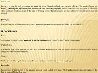 Treatment:
Recovery is slow for both respiratory and synovitis forms. Several antibiotics are variably effective. The most effective are
tylosin, erthromycin, spectinomycin, lincomysin, and chlorotetracycline. These antibiotics can be given by injection
while some can be administered ib the feed or drinking water. These treatments are most effective when the antibiotics are
injected.
Prevention:
Eradication is the best and only sure control. Do not use breeder replacement from flocks that have has MD.
14. COCCIDIOSIS
Cause:
Microscopic organism called coccidian (Eimeria species) usually occurs in flocks below 2 months age.
Transmission:
When birds pick up or swallow the coccidial organism. Contaminated feed and water. Indirect contact thru flies, human
beings and other mechanical means.
Signs:
Tendency to huddle together in a corner. Decrease feed and water intake and poor weight gain.
Prevention:
Incorporation of coccidiostat in the feeds or drinking water. Use of sulfa drugs. Most feed companies incorporate this in the
feed as indicated in the feed tags.
 