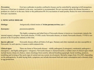 Prevention: Fowl pox outbreaks in poultry confined to houses can be controlled by spraying to kill mosquitoes.
However, if fowl pox is endemic in the area, vaccination is recommended. Do not vaccinate unless the disease becomes a
problem on a farm or in the area. Refer to the publication PS-36 (vaccination of small poultry flocks) for more information on
fowl pox vaccination.
2. NEWCASTLE DISEASE
Etiology: Antigenically related strains of Avian paramyxovirus, type 1.
Synonyms: pneumoencephalitis
The highly contagious and lethal form of Newcastle disease is known as viscerotropic (attacks the
internal organs) velogenic. Newcastle disease, VVND, exotic Newcastle disease, or Asiatic Newcastle disease, VVND is not
present in the US poultry industry at this time.
Species affected: Newcastle disease affects all birds of all ages. Humans and other mammals are also susceptible to
Newcastle. In such species, it causes a mild conjunctivitis.
Clinical signs: There are forms of Newcastle disease – mildly pathogenic (Lentogenic), moderately pathogenic (
mesogenic) , and highly pathogenic ( velogenic). Newcastle disease is characterized by a sudden onset of clinical signs which
include hoarse chirps (in chicks), watery discharge from nostrils, labored breathing (gasping0, facial swelling, paralysis,
trembling and twisting of the neck (sign of central nervous system involvement). Mortality ranges from 10 to 80% depending
on the pathogenicity. In adult laying birds, symptoms can include decreased feed and water consumption and a dramatic drop
in egg production.
 