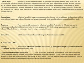 Clinical signs: the severity of infectious bronchitis is influenced by the age and immune status of the flock, by
environmental conditions, and by the presence of other diseases. Feed and water consumption declines. Affected chickens
will be chirping, with a watery discharge from the eyes and nostrils, and labored breathing with some gasping in young
chickens. Breathing noises are more noticeable at night while the birds rest. Egg production drops dramatically. Production
will recover in 5 to 6 weeks, but at a lower rate. The infectious bronchitis virus infects many tissues of the body, including the
reproductive tract.
Transmission: Infectious bronchitis is a very contagious poultry disease. It is spread by air, feedbags, infected dead
birds, infected houses, and rodents. The virus can be egg-transmitted, however, affected embryos usually will not hatch.
Treatment: There is no specific treatment for infectious bronchitis. Antibiotics for 3-5 days may aid in
combating secondary bacterial infections. Raise the room temperature 5°F for brooding-age chickens until symptoms
subside. Baby chicks can be encouraged to eat by using a warm, moist mash.
Prevention: Establish and enforce a biosecurity program. Vaccinations are available.
4. AVIAN INFLUENZA
Etiology: Diverse Type A Orthomyxoviruses characterized by hemagglutinating (HA) and neuraminidase
(N) antigens occuring on the surface of the virus.
Occurrence and Economic Significance: Avian influenza is world-wide in distribution. Avian influenza viruses
vary in their pathogenicity and their effects range from a mild respiratory disease (LPAI) to catastrophic losses associated
with viscerotropic and pansystemic infection (HPAI) or “fowl plague”. Sporadic outbreaks of HPAI result in severe losses in
production disruption in operations and high costs for control and prevention.
 