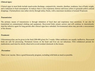 Clinical signs:
Clinical signs in most birds include nasal-ocular discharge, conjunctivitis, sinusitis, diarrhea, weakness, loss of body weight,
and a reduction in feed consumption. In turkeys there is also respiratory distress and loose yellow to greenish-yellow colored
droppings. Chylamydiosis runs rather slowly through turkey flocks, with a maximum incidence of around 50 percent.
Transmission:
The primary means of transmission is through inhalation of fecal dust and respiratory tract secretions. It can also be
transmitted on contaminated clothing and equipment. Recovered birds remain carriers and will continue to intermittently
shed the infective agent for long periods after clinical signs have subsided. Environmental stress may provoke a reoccurrence
of the disease.
Treatment:
Chlorotetracycline can be given in the feed (200-400 g/ton) for 3 weeks. Other antibiotics are usually ineffective. Recovered
birds are safe for processing. Permanent lesions on the heart and liver are not infectious. FDA withdrawal periods for
medications used must be strictly observed to avoid residual chemicals in the tissues.
Prevention:
There is no vaccine. Have a good biosecurity program, excluding wild birds as much as possible.
 
