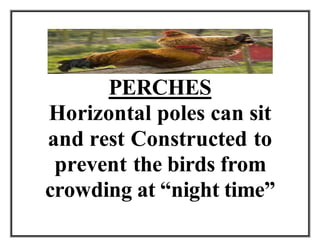 PERCHES
Horizontal poles can sit
and rest Constructed to
prevent the birds from
crowding at “night time”
 