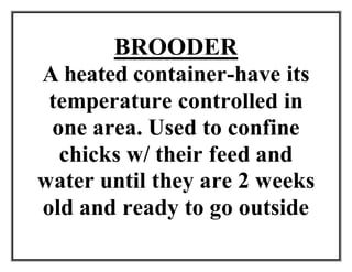 BROODER
A heated container-have its
temperature controlled in
one area. Used to confine
chicks w/ their feed and
water until they are 2 weeks
old and ready to go outside
 