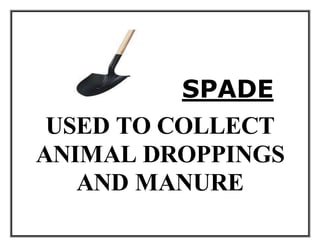 SPADE
USED TO COLLECT
ANIMAL DROPPINGS
AND MANURE
 