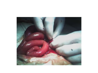 Common problems in paediatric surgery.pptx