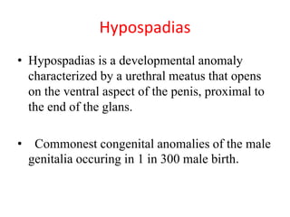 Hypospadias
• Hypospadias is a developmental anomaly
characterized by a urethral meatus that opens
on the ventral aspect of the penis, proximal to
the end of the glans.
• Commonest congenital anomalies of the male
genitalia occuring in 1 in 300 male birth.
 