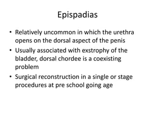 Epispadias
• Relatively uncommon in which the urethra
opens on the dorsal aspect of the penis
• Usually associated with exstrophy of the
bladder, dorsal chordee is a coexisting
problem
• Surgical reconstruction in a single or stage
procedures at pre school going age
 