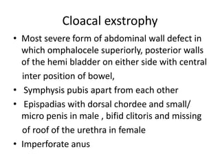 Cloacal exstrophy
• Most severe form of abdominal wall defect in
which omphalocele superiorly, posterior walls
of the hemi bladder on either side with central
inter position of bowel,
• Symphysis pubis apart from each other
• Epispadias with dorsal chordee and small/
micro penis in male , bifid clitoris and missing
of roof of the urethra in female
• Imperforate anus
 