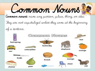 . Common Nouns
Common nouns name any person, place, thing, or idea.
They are not capitalized unless they come at the beginning
of a sentence.