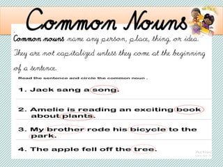 . Common Nouns
Common nouns name any person, place, thing, or idea.
They are not capitalized unless they come at the beginning
of a sentence.
