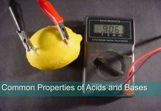 Acids, Bases and Salts




Common Properties of Acids and Bases
 