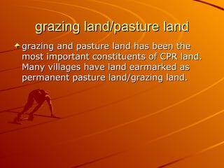 grazing land/pasture land
grazing and pasture land has been the
most important constituents of CPR land.
Many villages have land earmarked as
permanent pasture land/grazing land.
 