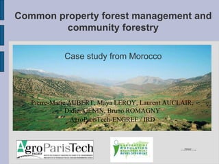 Common property forest management and community forestry Pierre-Marie AUBERT, Maya LEROY, Laurent AUCLAIR, Didier GENIN, Bruno ROMAGNY AgroParisTech-ENGREF / IRD Case study from Morocco 