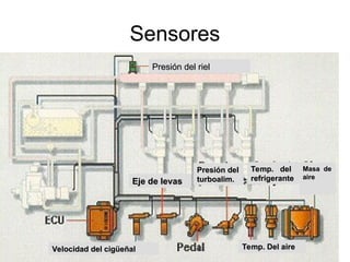 Sensores
Presión del riel
Presión del riel
Eje de levas
Eje de levas
Presión
Presión del
del
turboalim.
turboalim.
Temp. del
Temp. del
refrigerante
refrigerante
Masa de
Masa de
aire
aire
Velocidad del cigüeñal
Velocidad del cigüeñal Temp. Del aire
Temp. Del aire
 