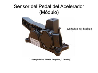 Sensor del Pedal del Acelerador
(Módulo)
Conjunto del Módulo
APM (Módulo, sensor del pedal, 1 unidad)
 