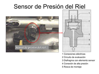 Sensor de Presión del Riel
1 Conexiones eléctricas
2 Circuito de evaluación
3 Diafragma con elemento sensor
4 Conexión de alta presión
5 Rosca de montaje
Sensor de presión de
Sensor de presión del
l riel
riel
 
