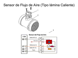 Sensor de Flujo de Aire (Tipo lámina Caliente)
1 Tapón – en el sensor
1 Tapón – en el sensor
2
2 Envoltura
Envoltura del cilindro
del cilindro
3 Cubierta del híbrido
3 Cubierta del híbrido
4 Cubierta del ducto de medición
4 Cubierta del ducto de medición
5 Caja
5 Caja
6 Híbrido
6 Híbrido
7 Sensor
7 Sensor
8 Placa monta
8 Placa montaj
je
e
9 O ring
9 O ring
10 Sensor de temperatura
10 Sensor de temperatura
Sensor del Flujo de Aire
Sensor del Flujo de Aire
Salida AFS (V)
Salida AFS (V)
Referencia (V)
Referencia (V)
Salida IAT (V)
Salida IAT (V)
Tierra
Tierra
 
