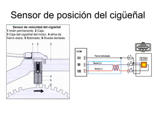 Sensor de posición del cigüeñal
Sensor de velocidad del cigüeñal
1 Imán permanente, 2 Caja,
3 Caja del cigüeñal del motor, 4 alma de
hierro dulce, 5 Bobinado, 6 Rueda dentada.
Tierra blindada
Señal (+)
Señal (-)
 