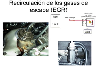 Recirculación de los gases de
escape (EGR)
Relé Principal
MODULADOR
DE VACIO
(PARA LA VÁLVULA EGR)
 