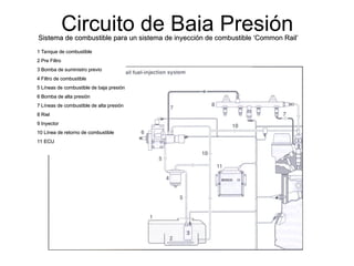 Circuito de Baja Presión
1 Tanque de combustible
1 Tanque de combustible
2 Pre Filtro
2 Pre Filtro
3 Bomba de suministro previo
3 Bomba de suministro previo
4 Filtro de combustible
4 Filtro de combustible
5 Líneas de combustible de baja presión
5 Líneas de combustible de baja presión
6 Bomba de alta presión
6 Bomba de alta presión
7 Líneas de combustible de alta presión
7 Líneas de combustible de alta presión
8 Riel
8 Riel
9 Inyector
9 Inyector
10 Línea de retorno de combustible
10 Línea de retorno de combustible
11 ECU
11 ECU
Sistema de combustible para un sistema de inyección de combustible ‘Common Rail’
Sistema de combustible para un sistema de inyección de combustible ‘Common Rail’
 