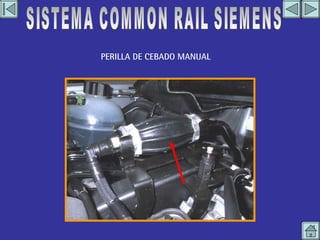 PERILLA DE CEBADO MANUAL SISTEMA COMMON RAIL SIEMENS 