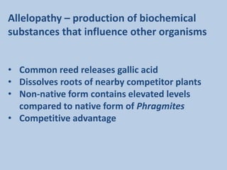 Allelopathy – production of biochemical
substances that influence other organisms


• Common reed releases gallic acid
• Dissolves roots of nearby competitor plants
• Non-native form contains elevated levels
  compared to native form of Phragmites
• Competitive advantage
 