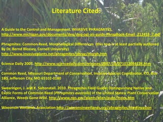 Literature Cited:

A Guide to the Control and Management. INVASIVE PHRAGMITES,
http://www.michigan.gov/documents/deq/deq-ogl-ais-guide-PhragBook-Email_212418_7.pdf

Phragmites: Common Reed, Morphological Differences (this text is at least partially authored
by Dr. Bernd Blossey, Cornell University)
http://www.invasiveplants.net/phragmites/phrag/morph.htm

Science Daily 2007. http://www.sciencedaily.com/releases/2007/10/071012084128.htm

Common Reed, Missouri Department of Conservation, Invasive Species Coordinator, P.O. Box
180, Jefferson City, MO 65102-0180

Swearingen, J. and K. Saltonstall. 2010. Phragmites Field Guide: Distinguishing Native and
Exotic Forms of Common Reed (Phragmites australis) in the United States. Plant Conservation
Alliance, Weeds Gone Wild. http://www.nps.gov/plants/alien/pubs/index.htm

Wisconsin Wetlands Association http://wisconsinwetlands.org/phragmites.htm#invasion
 