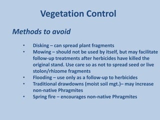 Vegetation Control
Methods to avoid
  •   Disking – can spread plant fragments
  •   Mowing – should not be used by itself, but may facilitate
      follow-up treatments after herbicides have killed the
      original stand. Use care so as not to spread seed or live
      stolon/rhizome fragments
  •   Flooding – use only as a follow-up to herbicides
  •   Traditional drawdowns (moist soil mgt.)– may increase
      non-native Phragmites
  •   Spring fire – encourages non-native Phragmites
 
