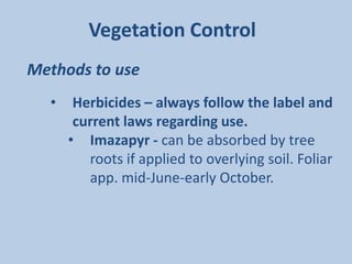 Vegetation Control
Methods to use
  •    Herbicides – always follow the label and
       current laws regarding use.
      • Imazapyr - can be absorbed by tree
         roots if applied to overlying soil. Foliar
         app. mid-June-early October.
 