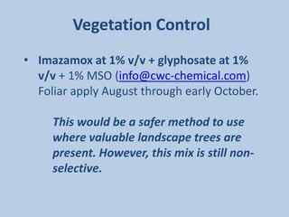 Vegetation Control
• Imazamox at 1% v/v + glyphosate at 1%
  v/v + 1% MSO (info@cwc-chemical.com)
  Foliar apply August through early October.

     This would be a safer method to use
     where valuable landscape trees are
     present. However, this mix is still non-
     selective.
 