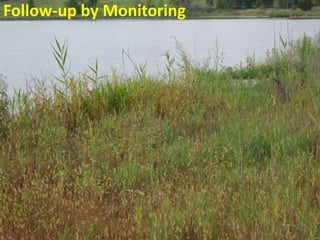 Follow-up by Monitoring
 