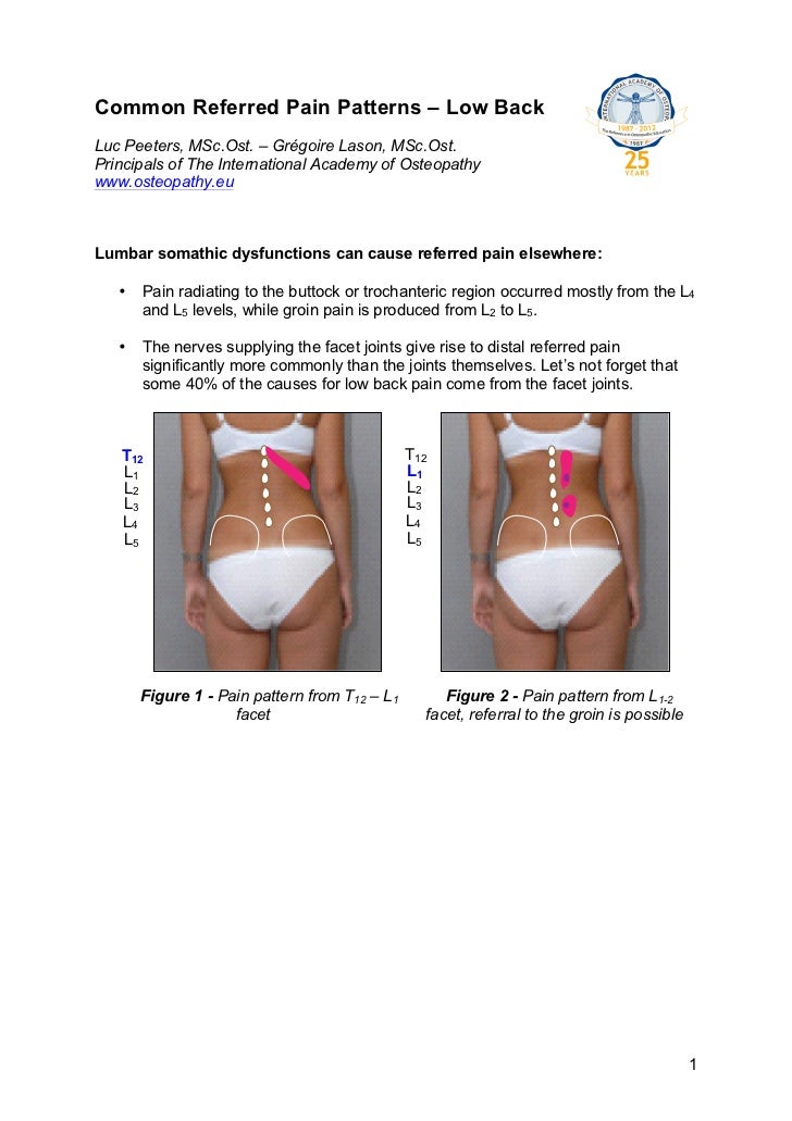 common referred pain patterns low back