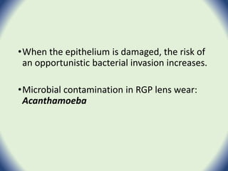 •When the epithelium is damaged, the risk of
an opportunistic bacterial invasion increases.
•Microbial contamination in RGP lens wear:
Acanthamoeba
 