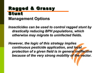 Ragged & Grassy Stunt Management Options Insecticides can be used to control ragged stunt by drastically reducing BPH populations, which otherwise may migrate to uninfected fields.  However, the logic of this strategy implies continuous pesticide application, and local protection of a given field is in general ineffective because of the very strong mobility of the vector.   