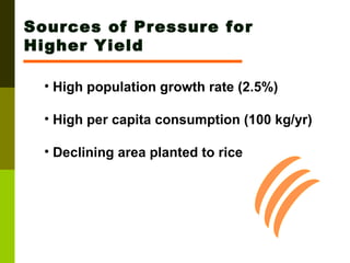 Sources of Pressure for Higher Yield High population growth rate (2.5%) High per capita consumption (100 kg/yr) Declining area planted to rice 