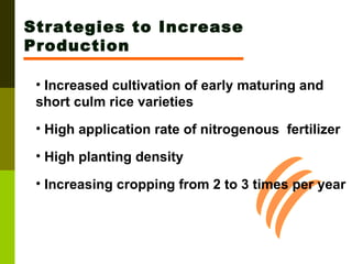 Strategies to Increase Production Increased cultivation of early maturing and short culm rice varieties High application rate of nitrogenous  fertilizer High planting density Increasing cropping from 2 to 3 times per year 