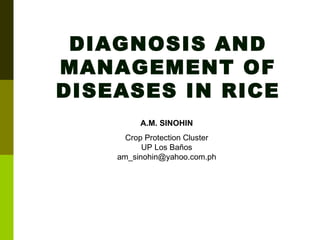 DIAGNOSIS AND MANAGEMENT OF DISEASES IN RICE A.M. SINOHIN Crop Protection Cluster UP Los Baños [email_address] 