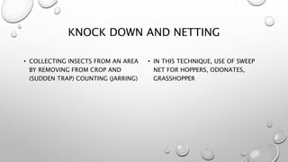 Knock Down Method Insect Sampling Common sampling techniques in insect pests | PPTX